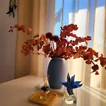 Deck-apartment, Next To Forest, Of Mountain, Free Parking, Renovated * Schonach im Schwarzwald