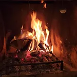 Deck-apartment, Next To Forest, Of Mountain, Free Parking, Renovated * Schonach im Schwarzwald