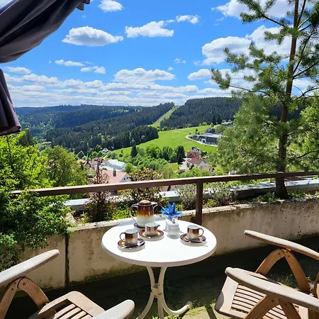 Deck-apartment, Next To Forest, Of Mountain, Free Parking, Renovated Schonach im Schwarzwald