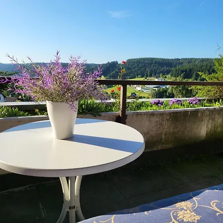 Deck-apartment, Next To Forest, Of Mountain, Free Parking, Renovated Schonach im Schwarzwald