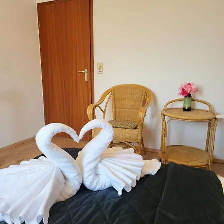 Deck-apartment, Next To Forest, Of Mountain, Free Parking, Renovated * Schonach im Schwarzwald