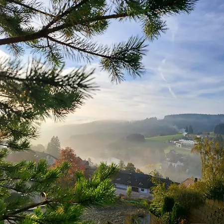 Deck-apartment, Next To Forest, Of Mountain, Free Parking, Renovated Schonach im Schwarzwald