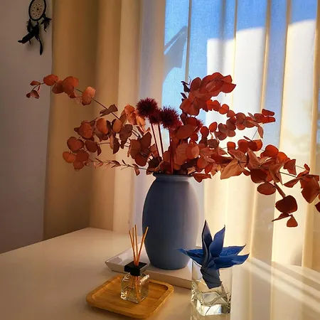 Renovated Balcony-apartment, Next To Forest, Indoor Fireplace, On Mountain, Free Parking * סכונאץ'