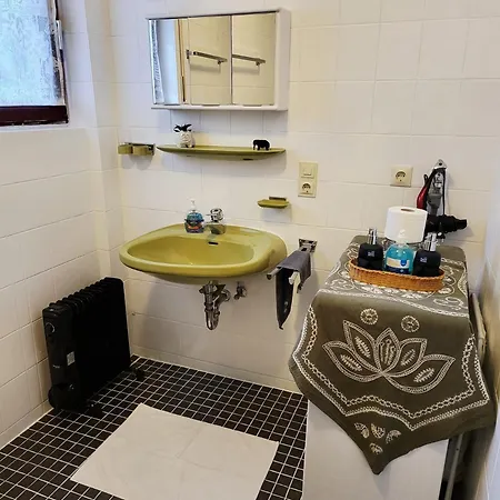 Renovated Balcony-apartment, Next To Forest, Indoor Fireplace, On Mountain, Free Parking דירה *