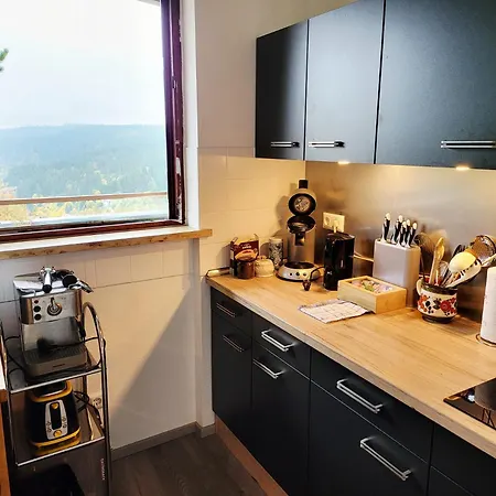 Renovated Balcony-apartment, Next To Forest, Indoor Fireplace, On Mountain, Free Parking *