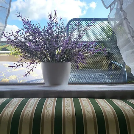 Renovated Balcony-apartment, Next To Forest, Indoor Fireplace, On Mountain, Free Parking